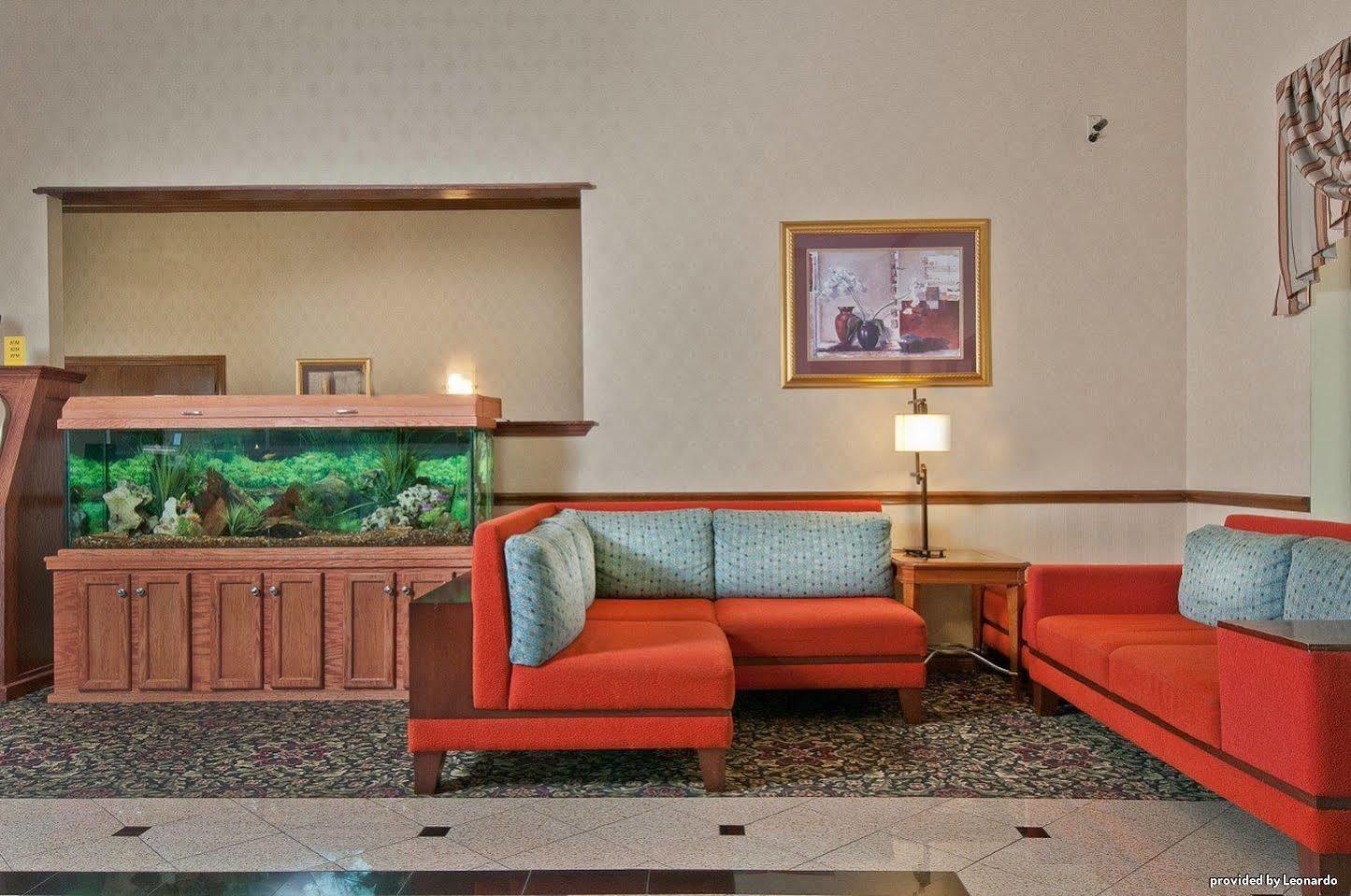 Best Western Near Lackland Afb Seaworld San Antonio İç mekan fotoğraf